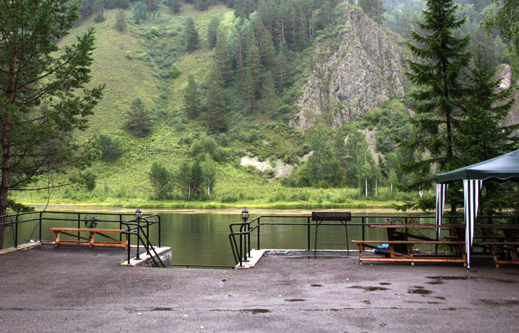 Шашлыки